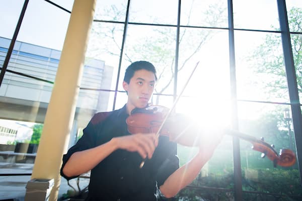 violin