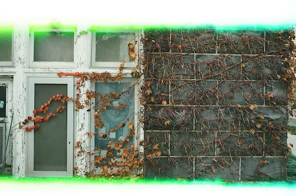 wall