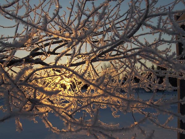snow