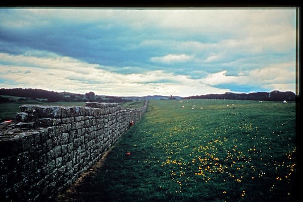 field
