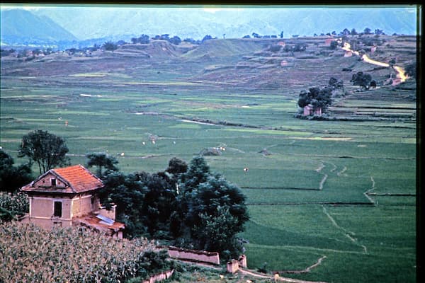 field