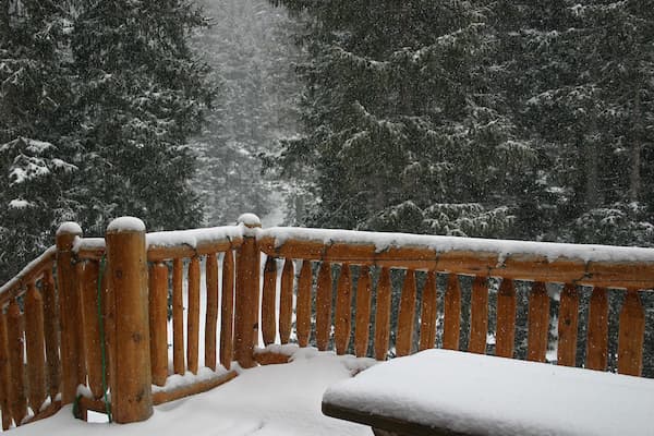 winter