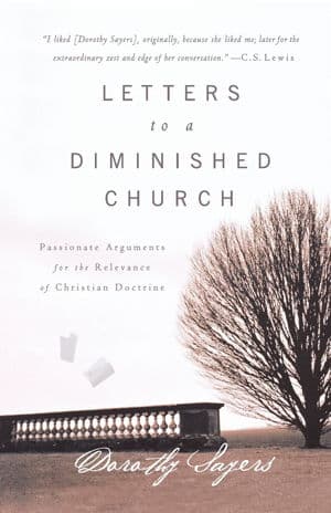 Letters to a Diminished Church: A Discussion Guide