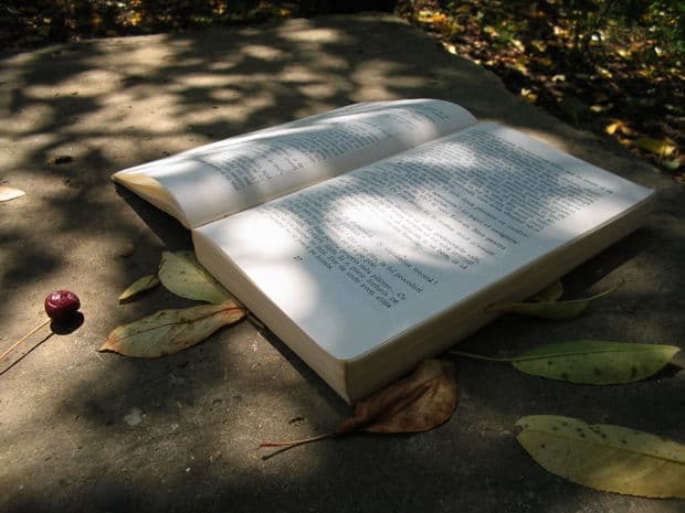 Summer Reads 2013