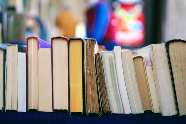 Summer Reads: Recommendations from the WAP Team