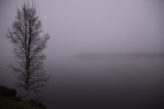 Walking in the Fog