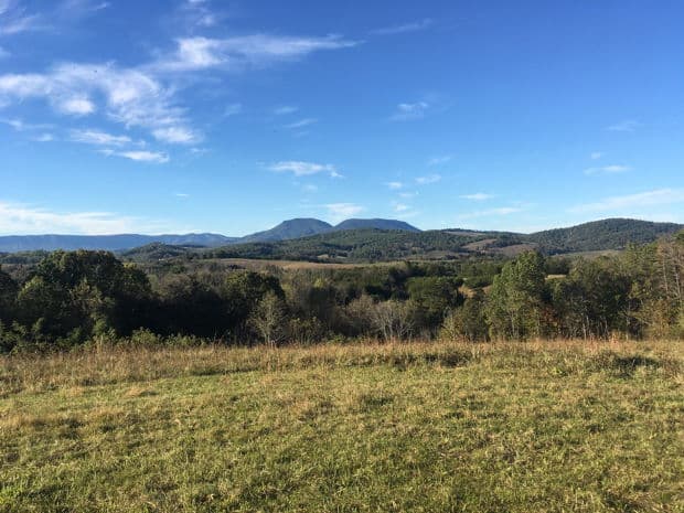 The Red Gate