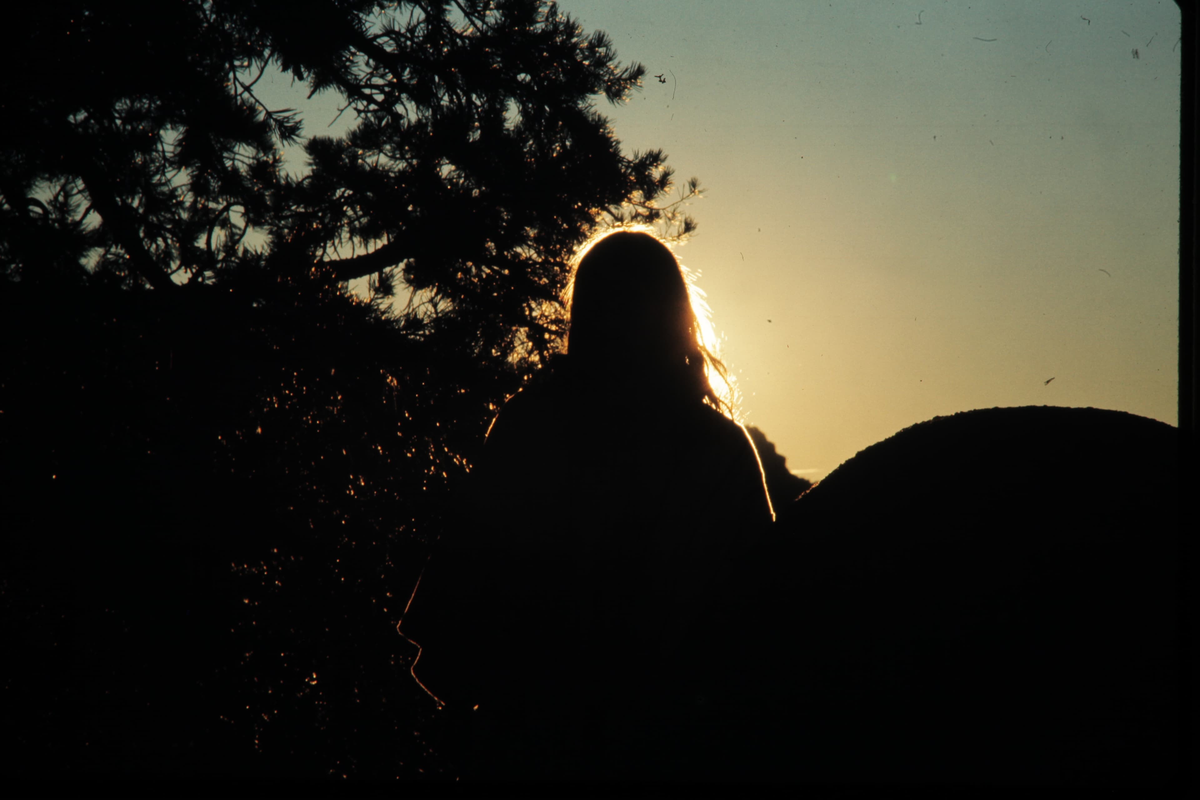 Take Heart: Finding Courage Through Jesus' Presence