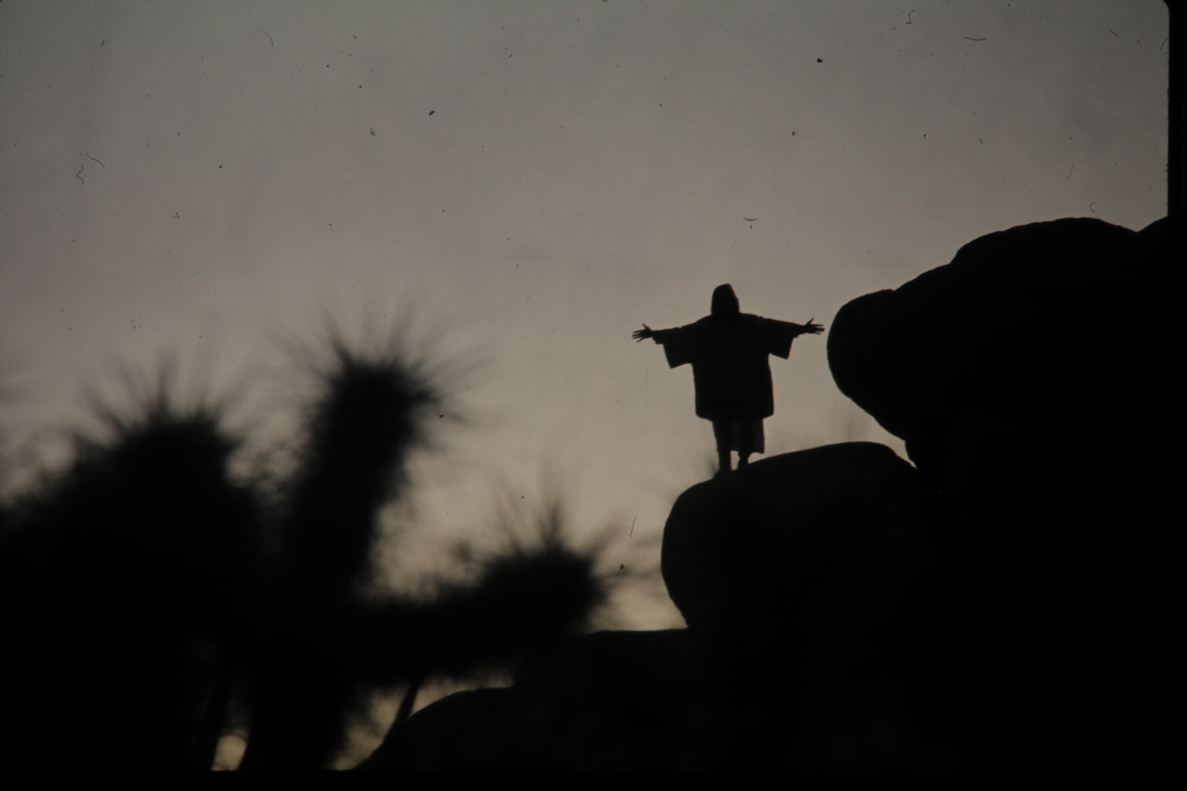 Jesus Confronts Our Racial Prejudice: The Challenge to Become a Neighbor