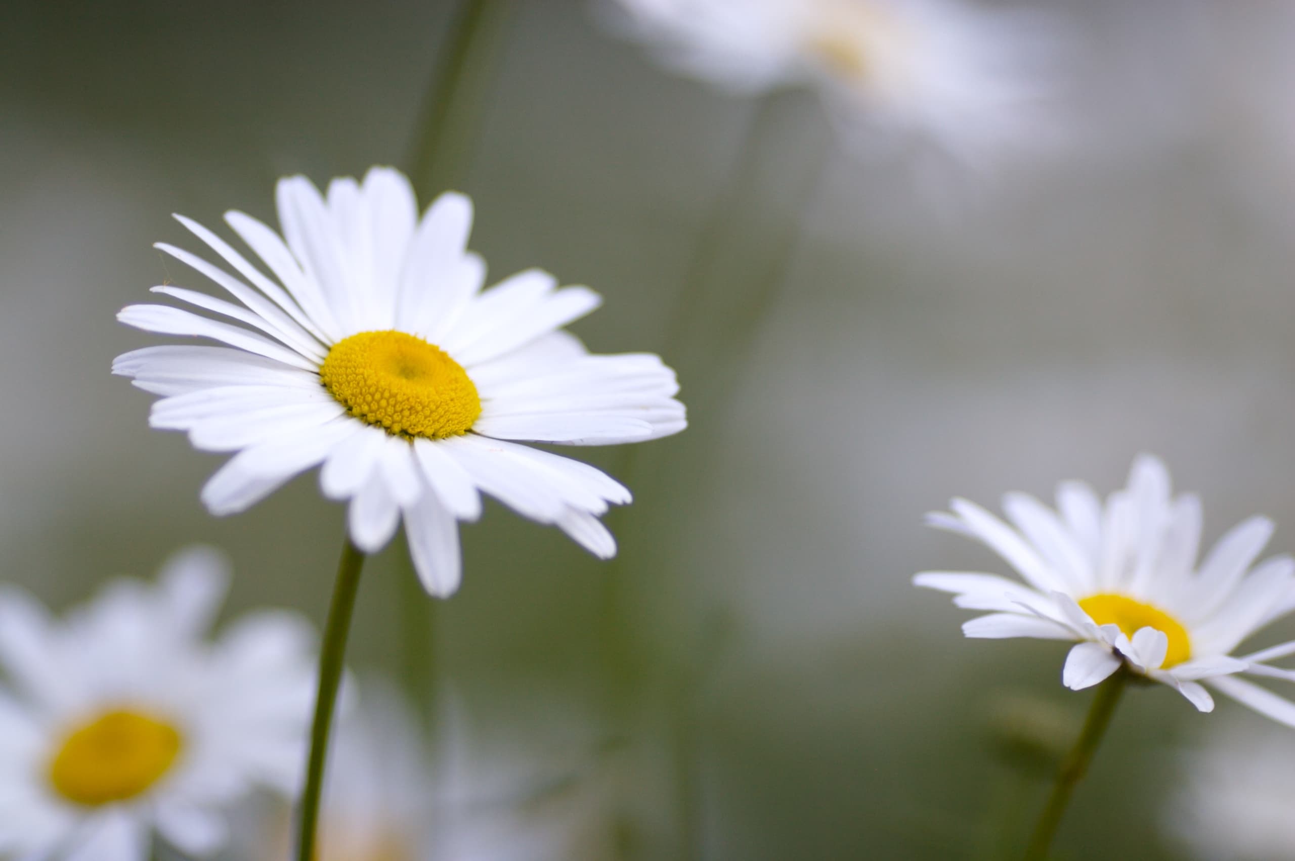 Poems for Contemplation: "Insomnia Poem"