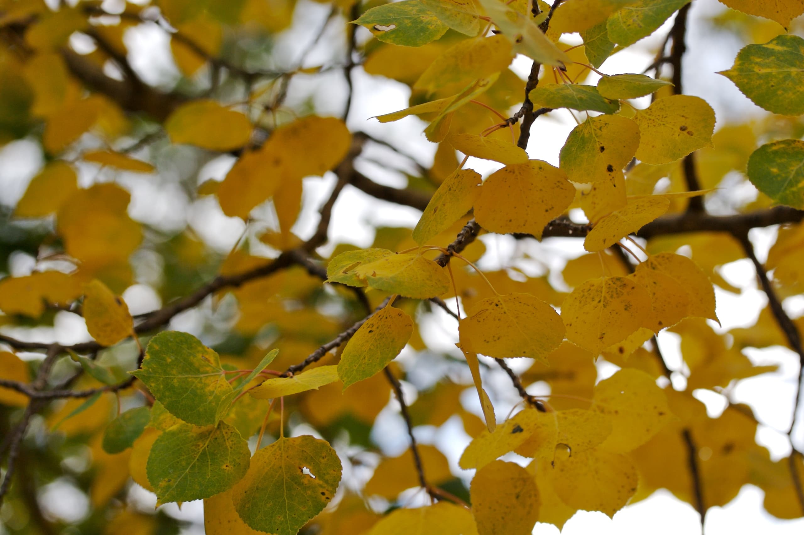 On Prayer: At the Start of a New School Year