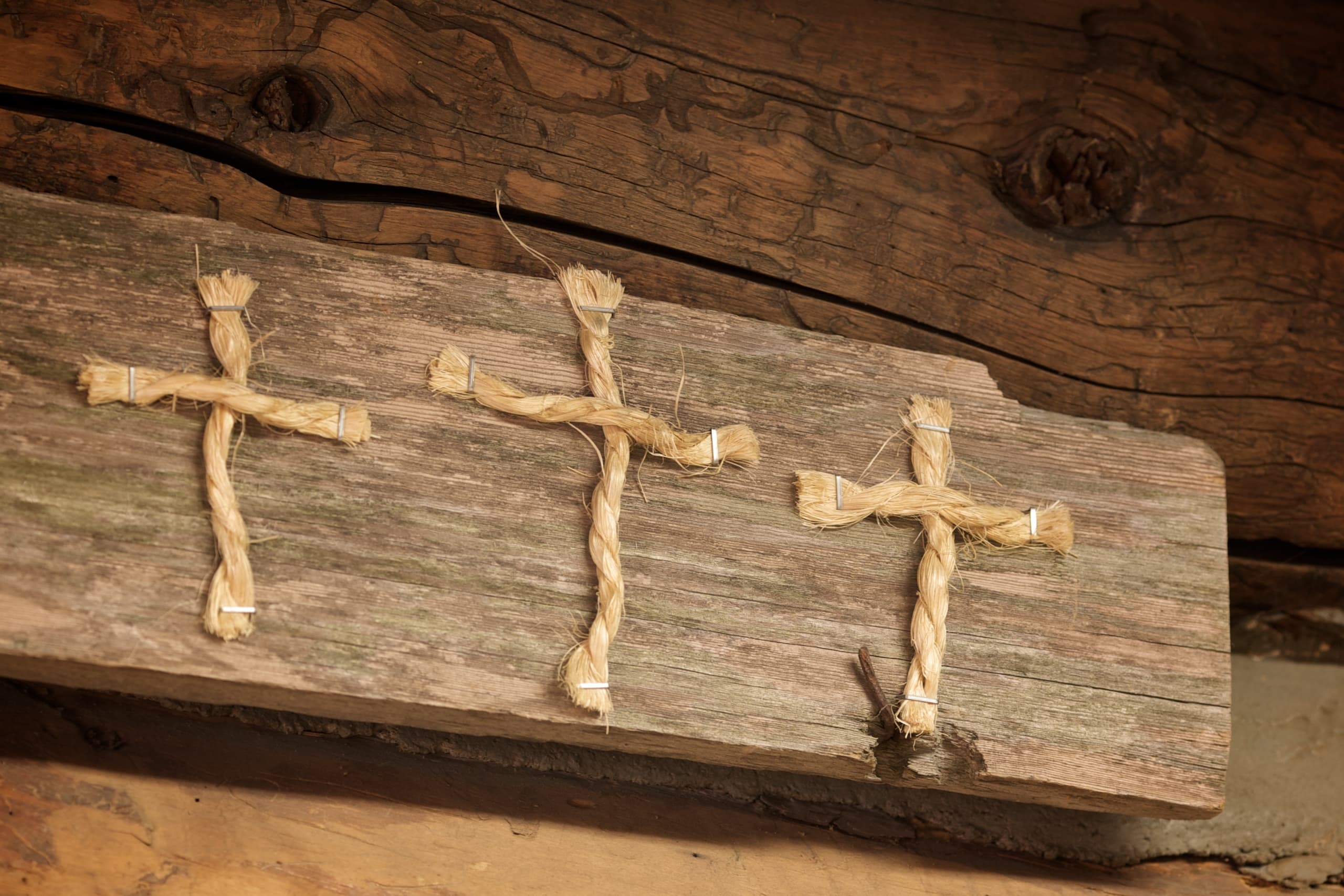 Spotlight on Women of Faith