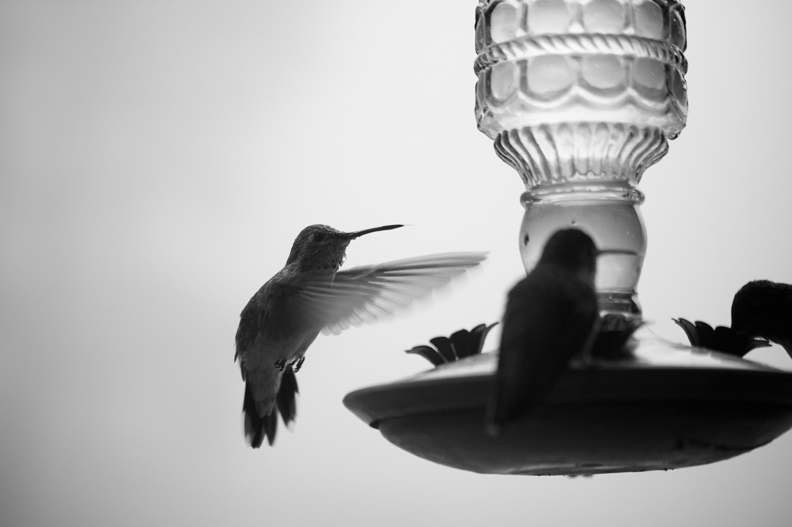 An Epiphany Surprise: Looking from Advent to Easter