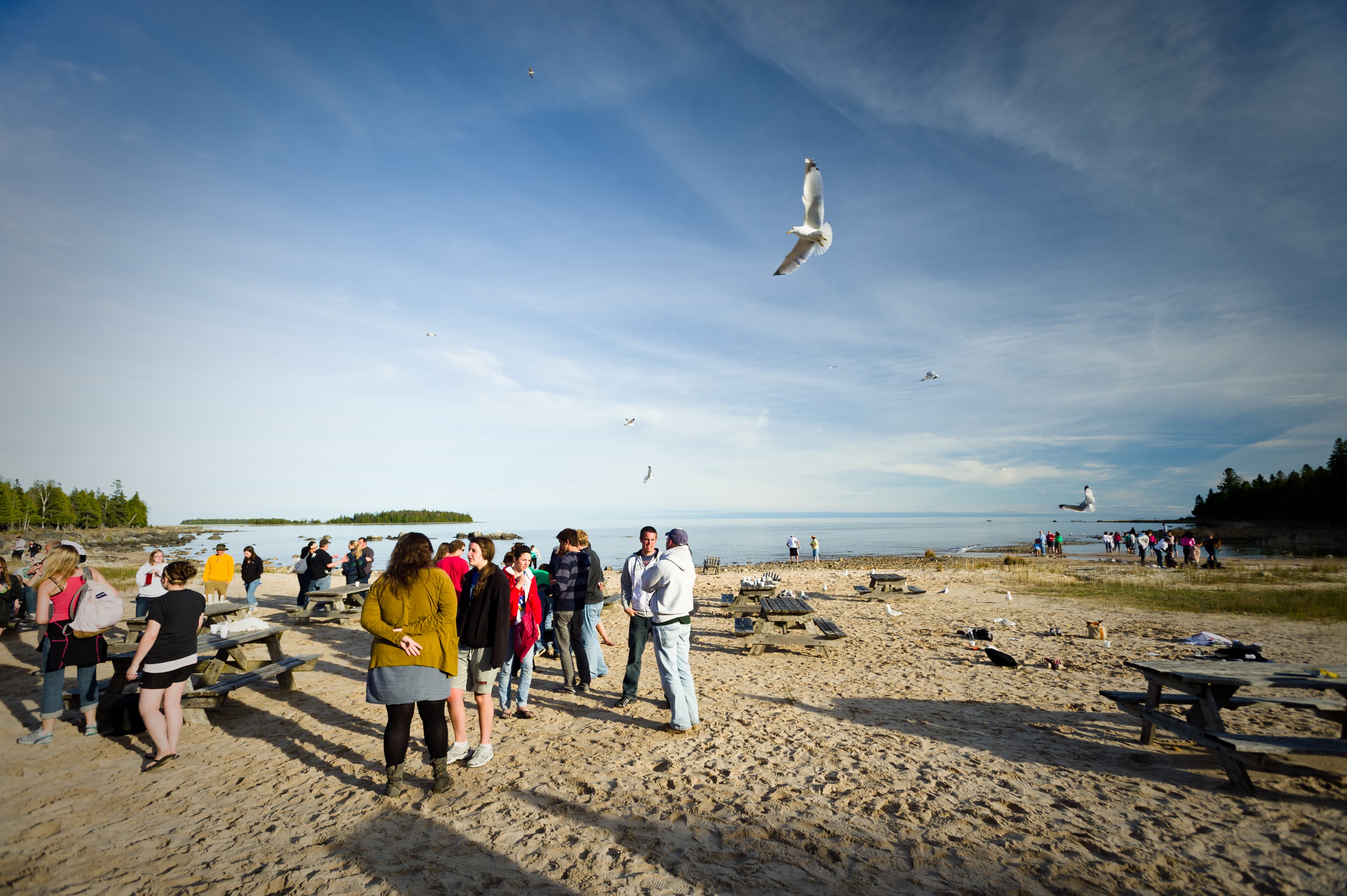 Orienting Desire: Training for the Good Life