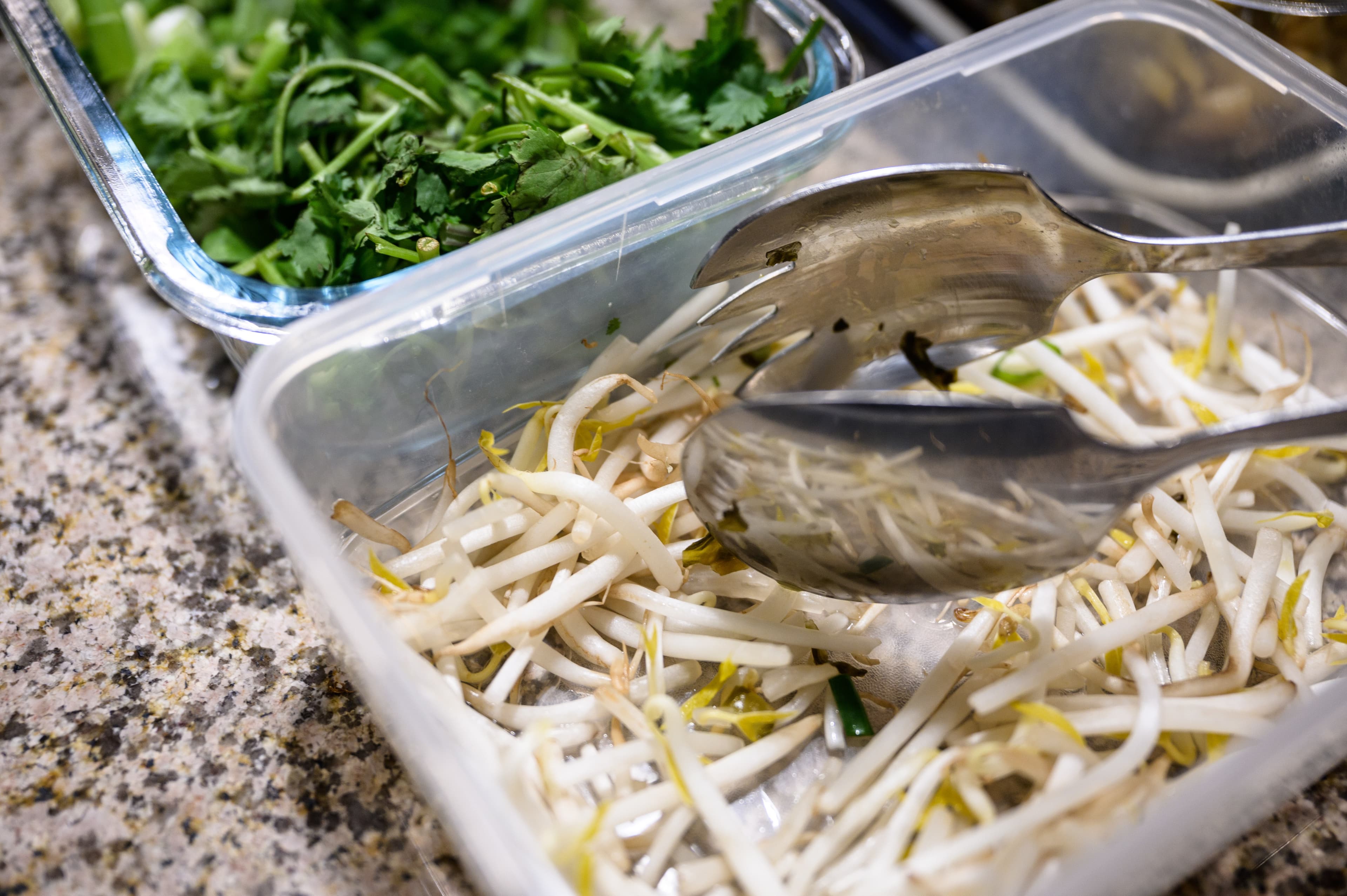 Notes from the Pandemic: Searching for Sprouts