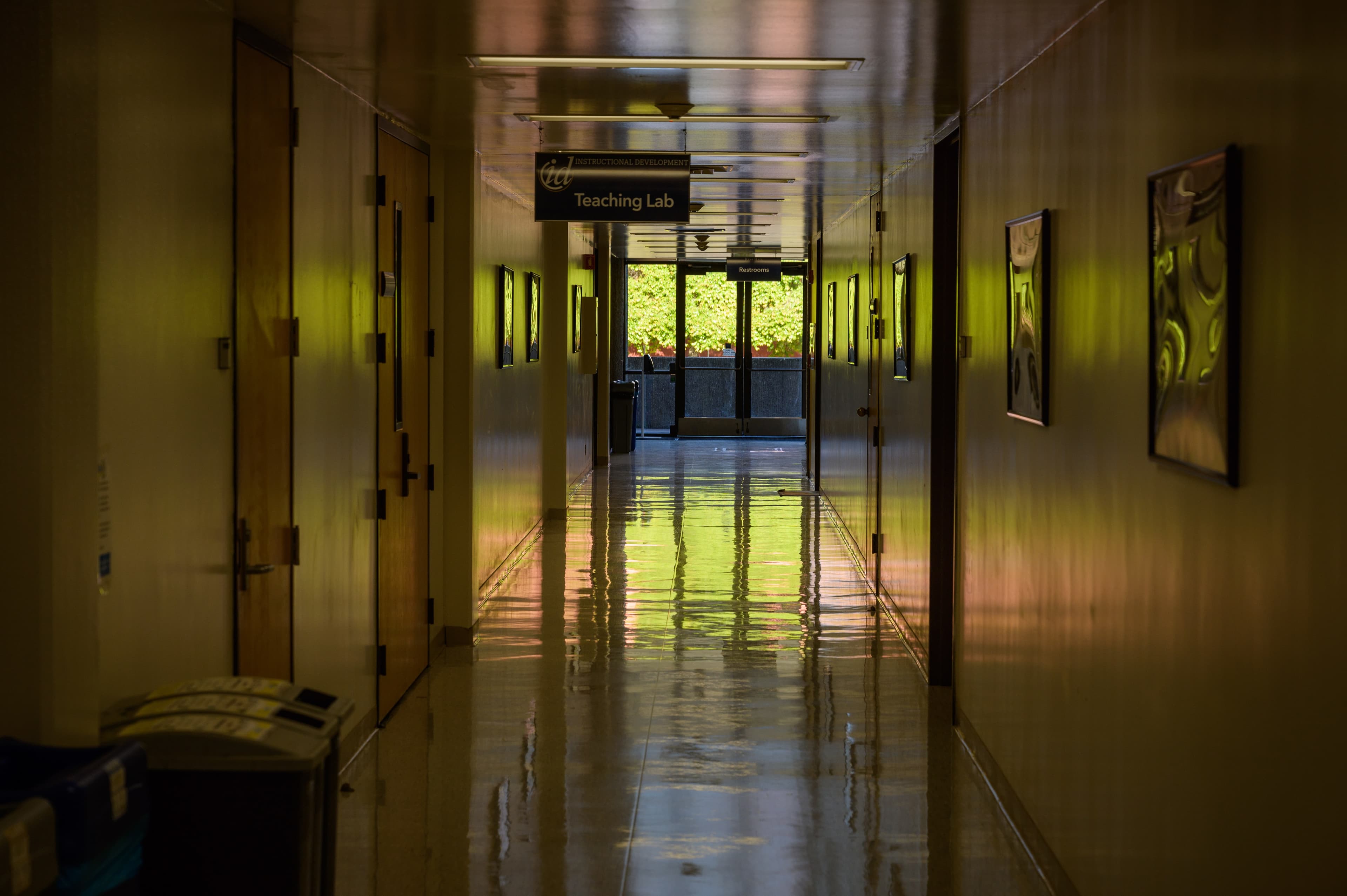 A Grad School Experience: From Disillusionment to Renewal
