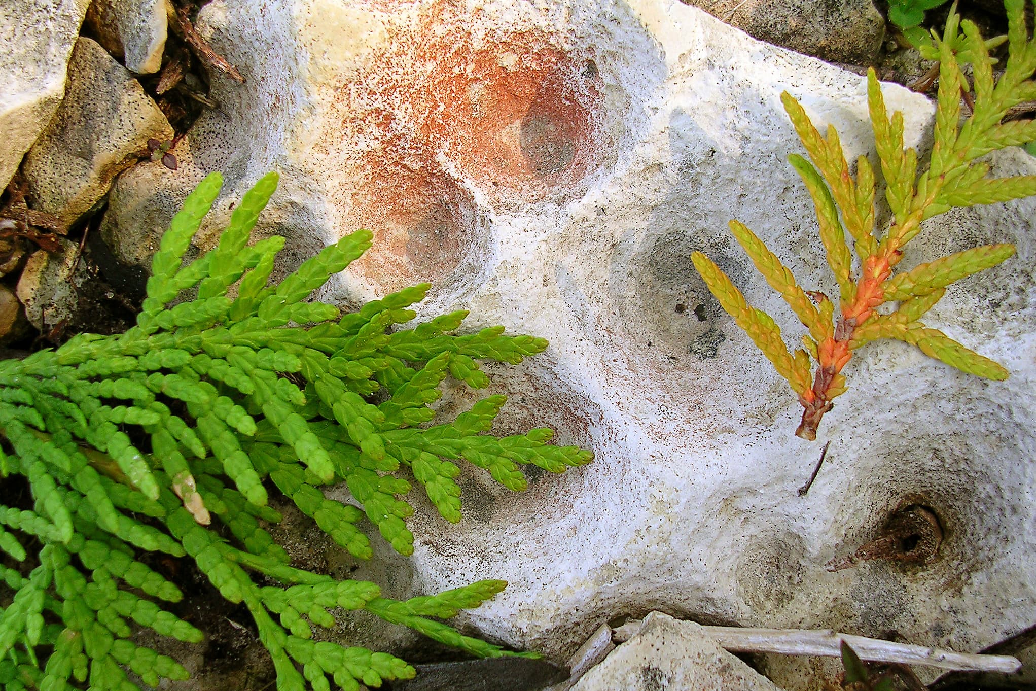 Transitioning with the Seasons: The Gift of Fall
