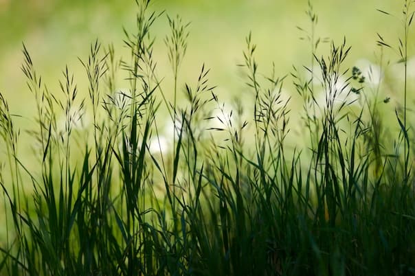 A Spacious Life: An Excerpt