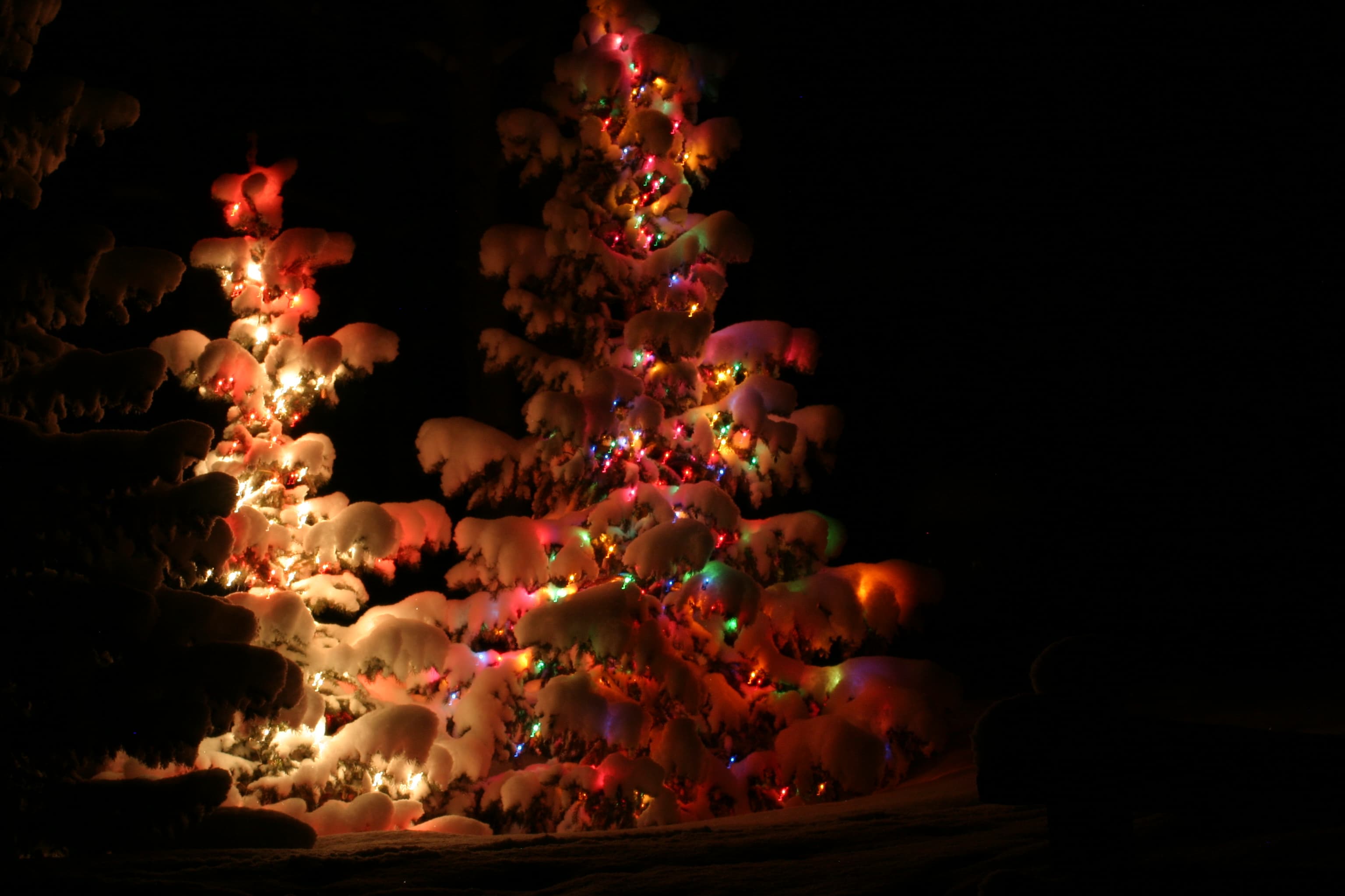 Advent: The Art of Watchful Waiting — An Excerpt