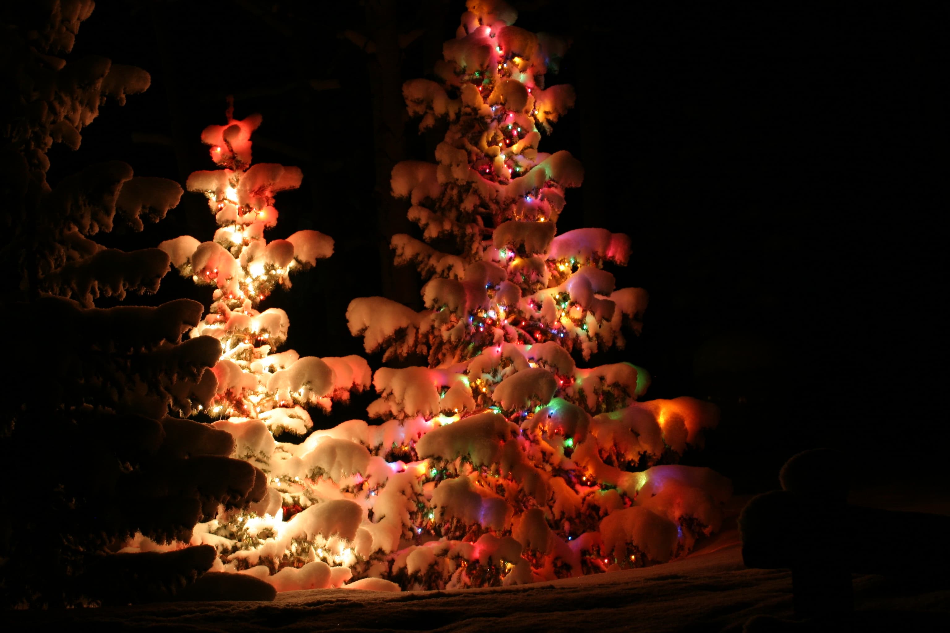 It Came Just the Same: Advent 2019