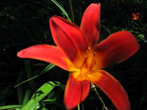 A Quiet Fire: Reading Poems Contemplatively
