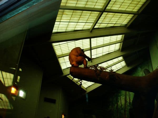 museum