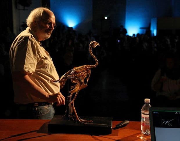 The Unlikely Paleontologist: An Interview with Mary Schweitzer (Part 1)
