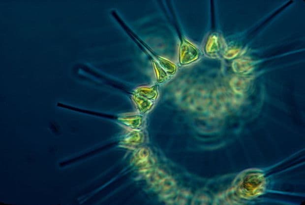 God in the Lab: An Interview with Ruth Bancewicz