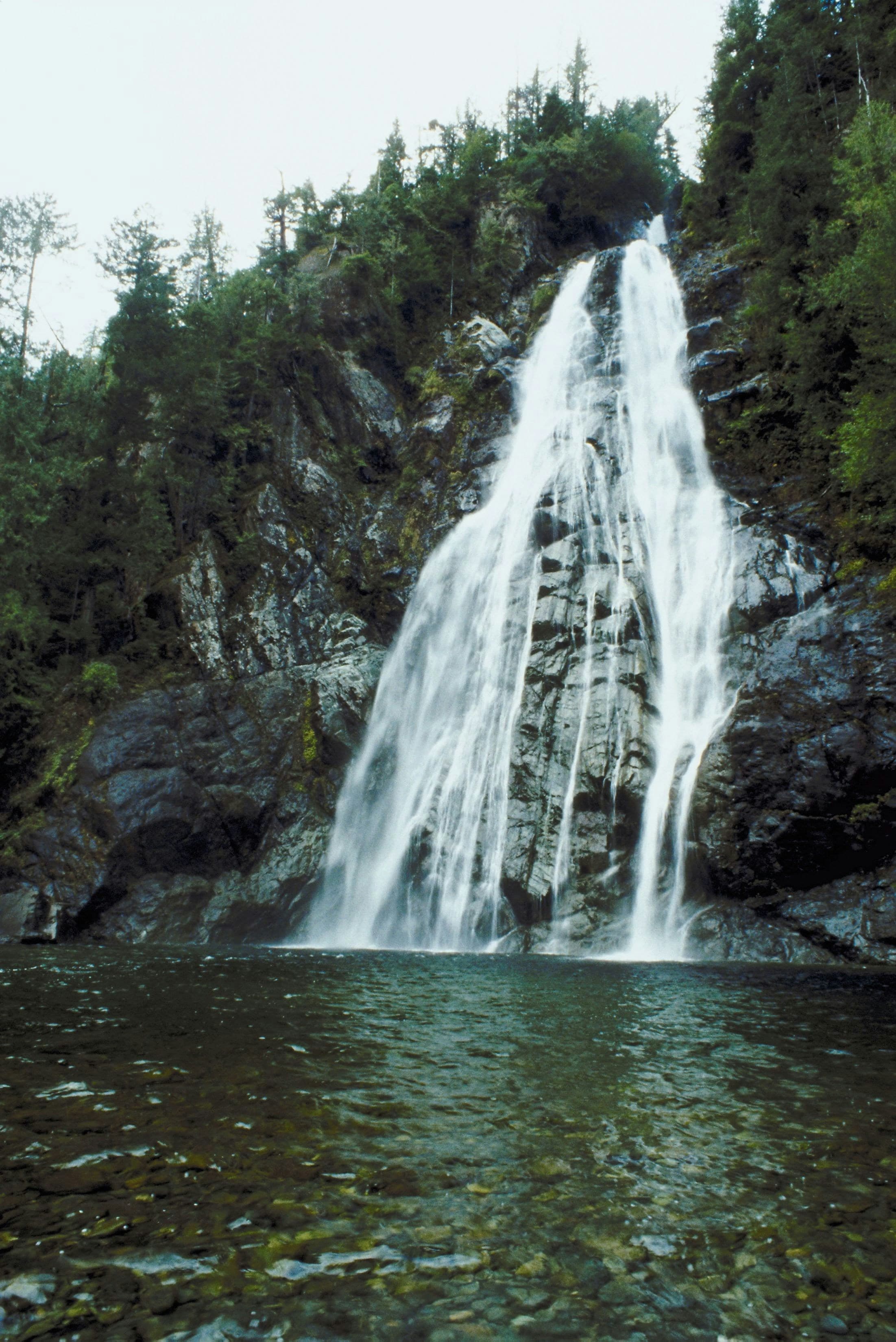 nature