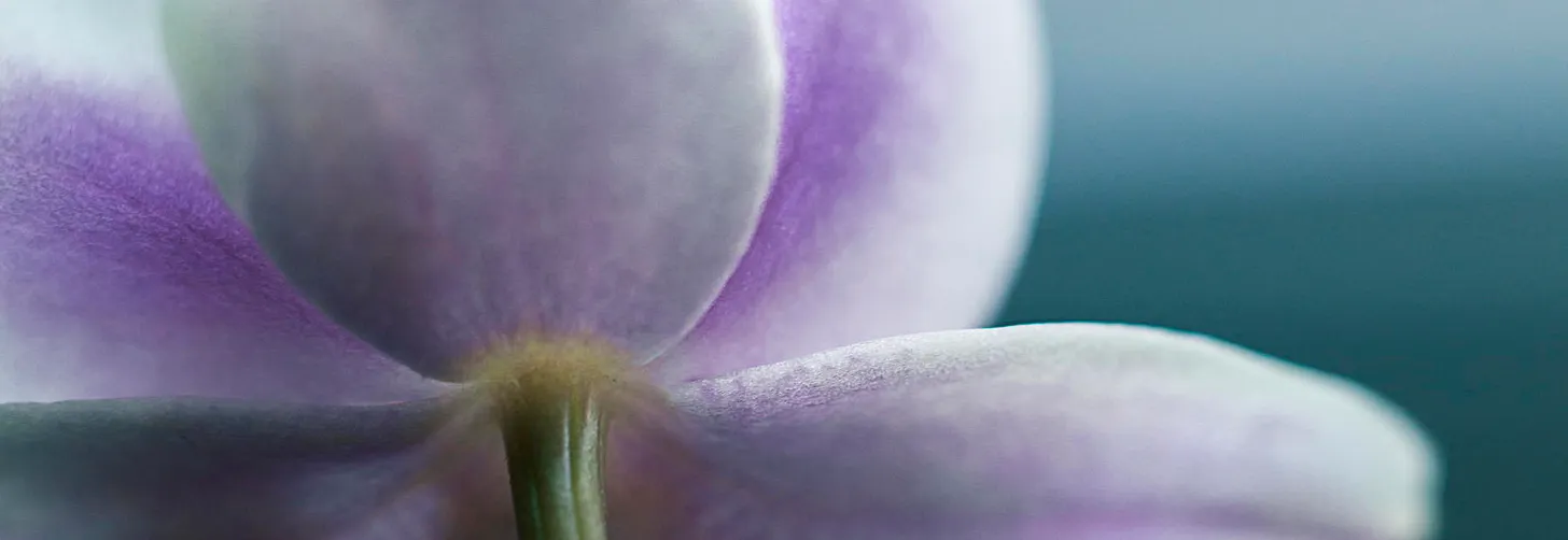 Abundance in our midst