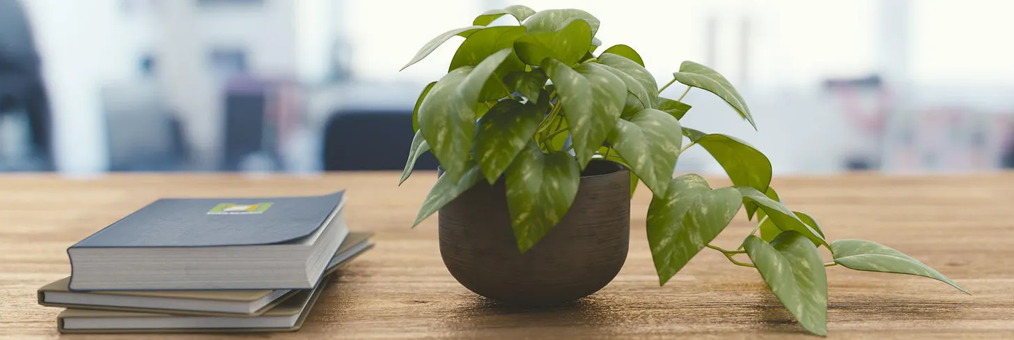 How to live well when you're busy
