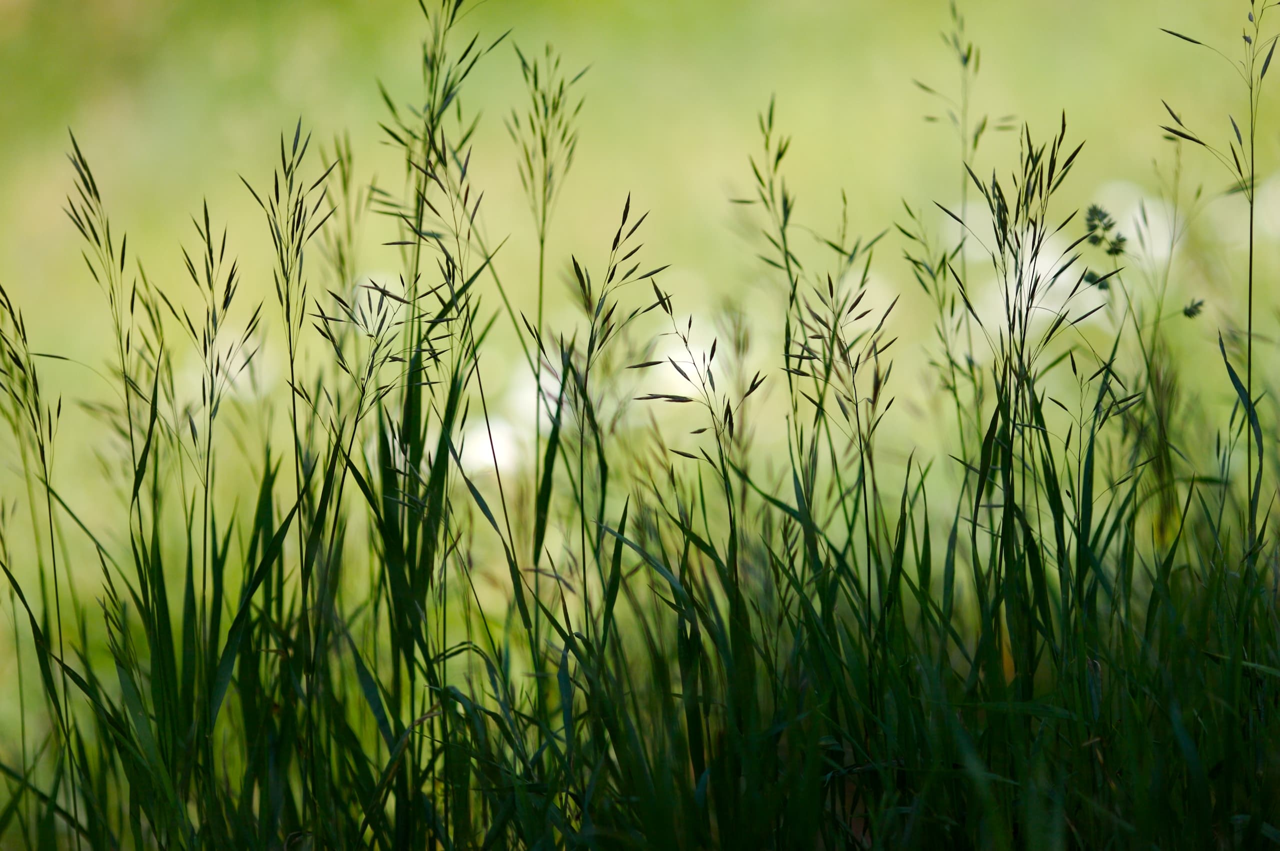 Rhythms to Feed Your Soul: Reflections on Mark 1
