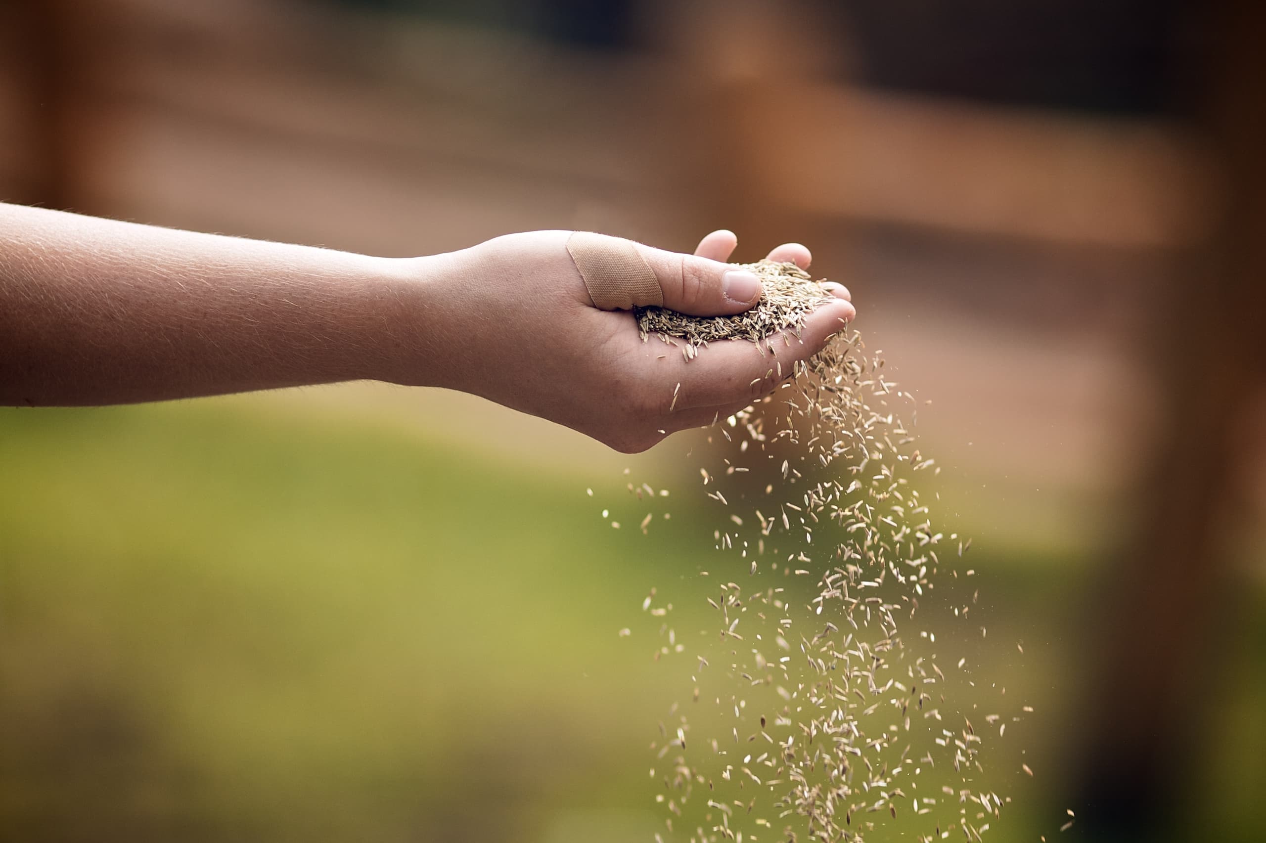 What does it feel like to be the farmer?