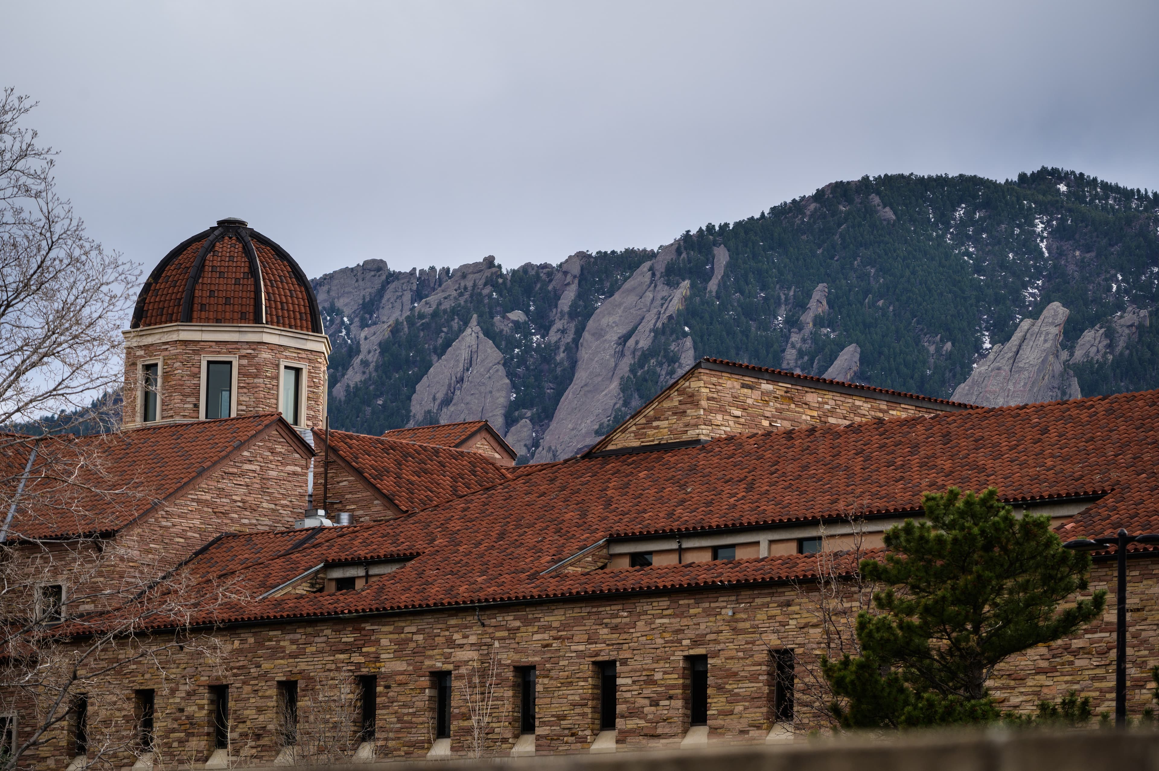 Spiritual Vitality in the Academy: One English Professor’s Practice