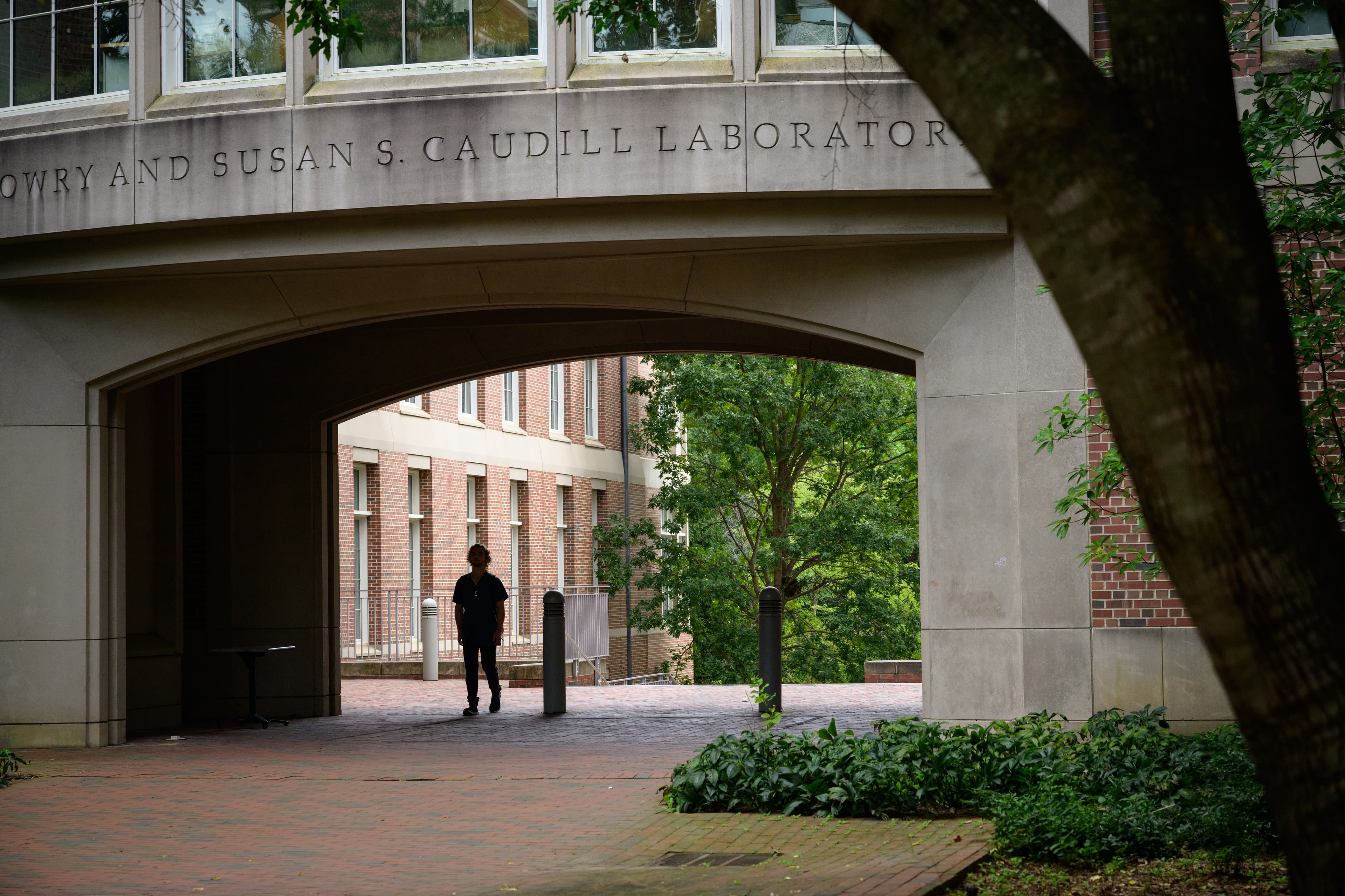 Fellowship Beyond Graduate School