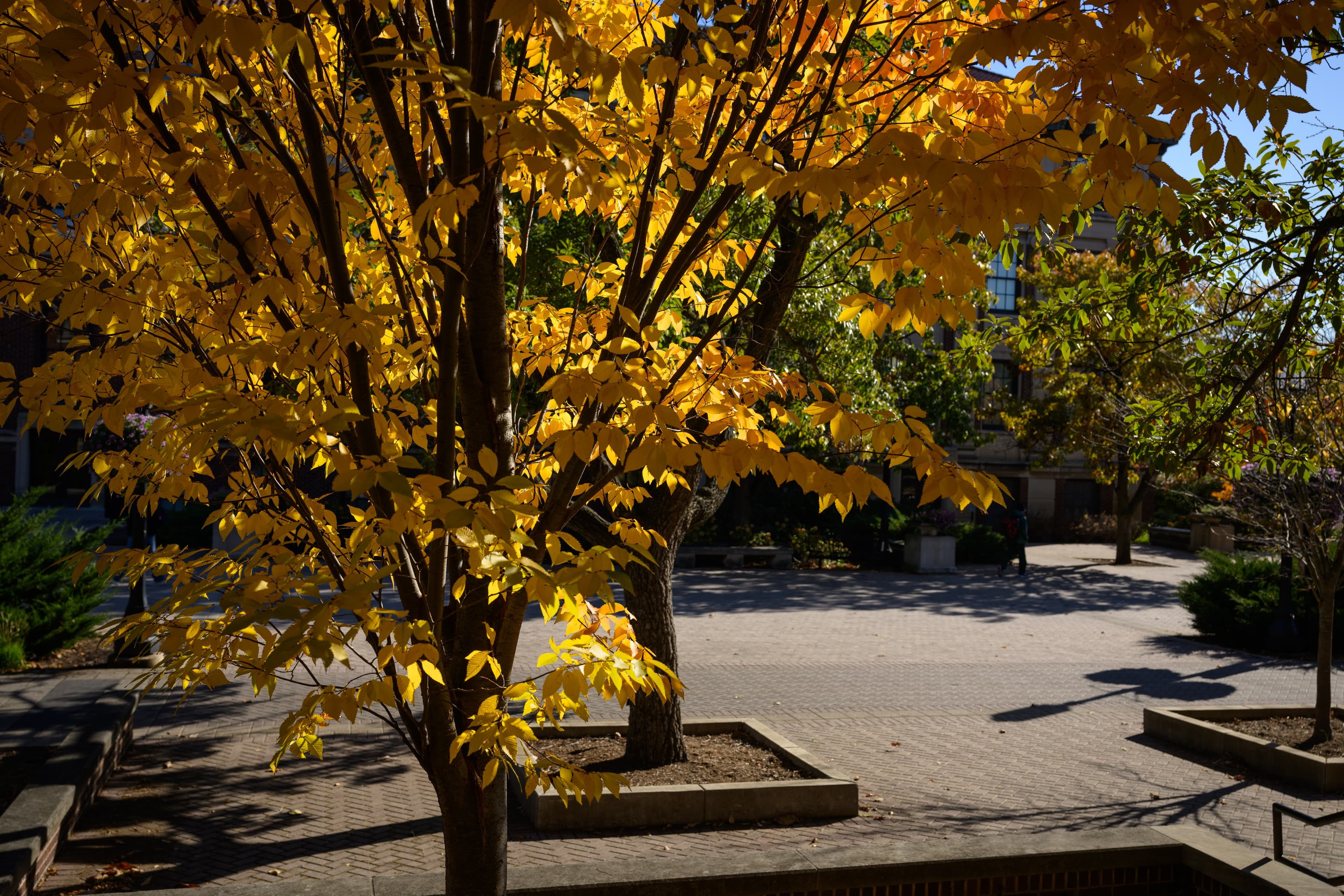Prayer That Cultivates Empathy: Loving God, Loving Neighbor