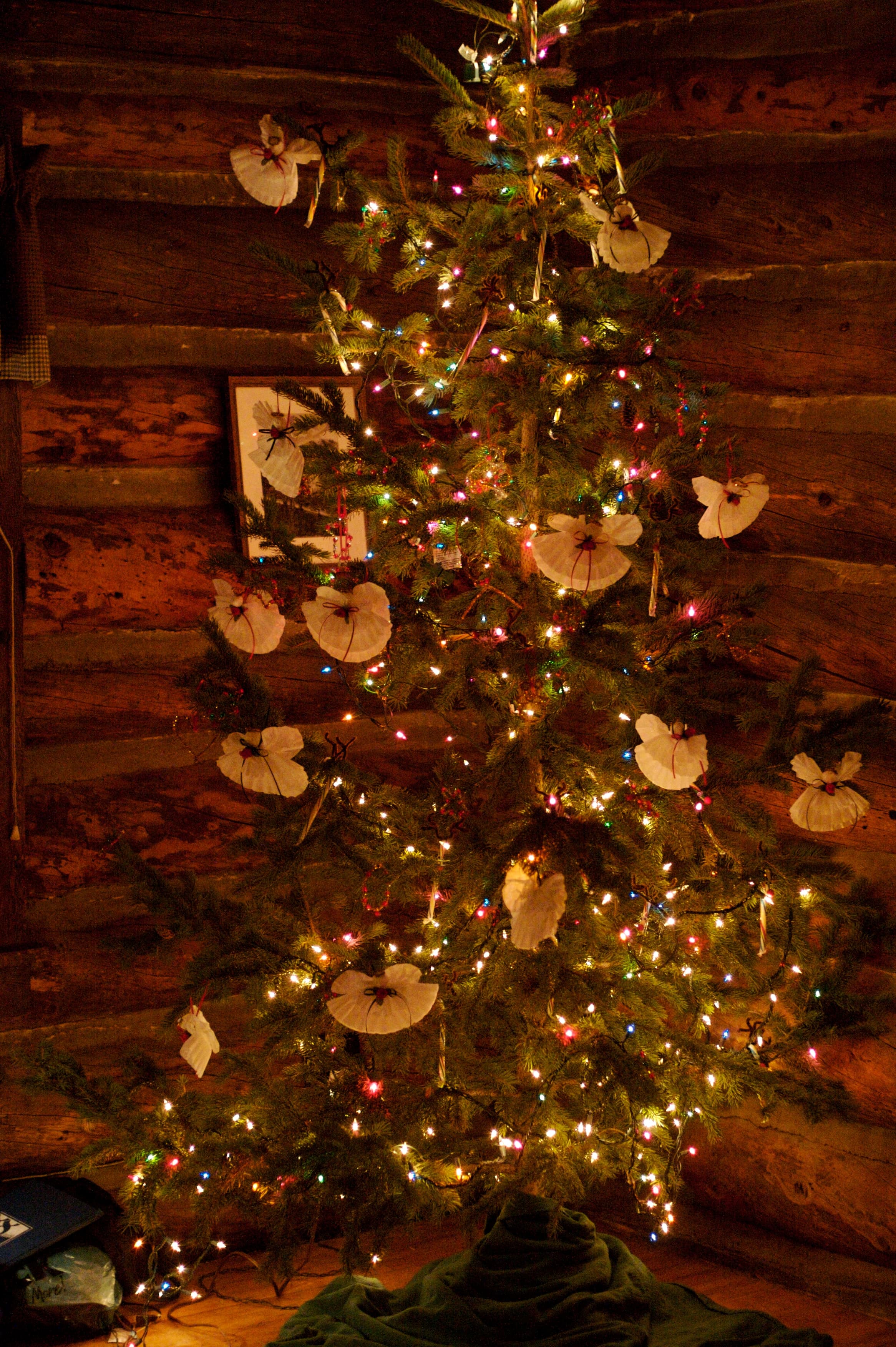 Christmas: The Season of Life and Light — An Excerpt