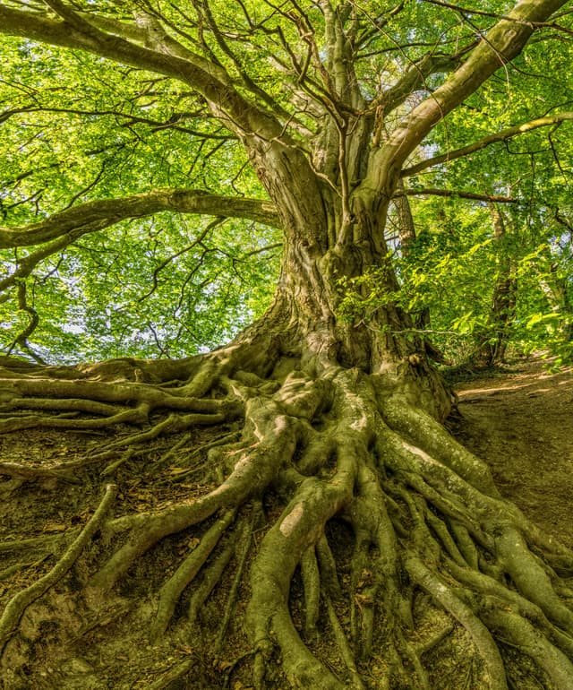 Spiritual Foundations