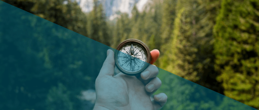 compass shows the way