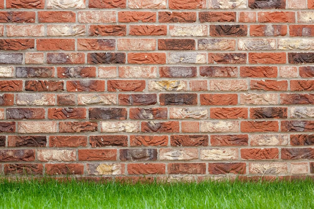 wall and grass