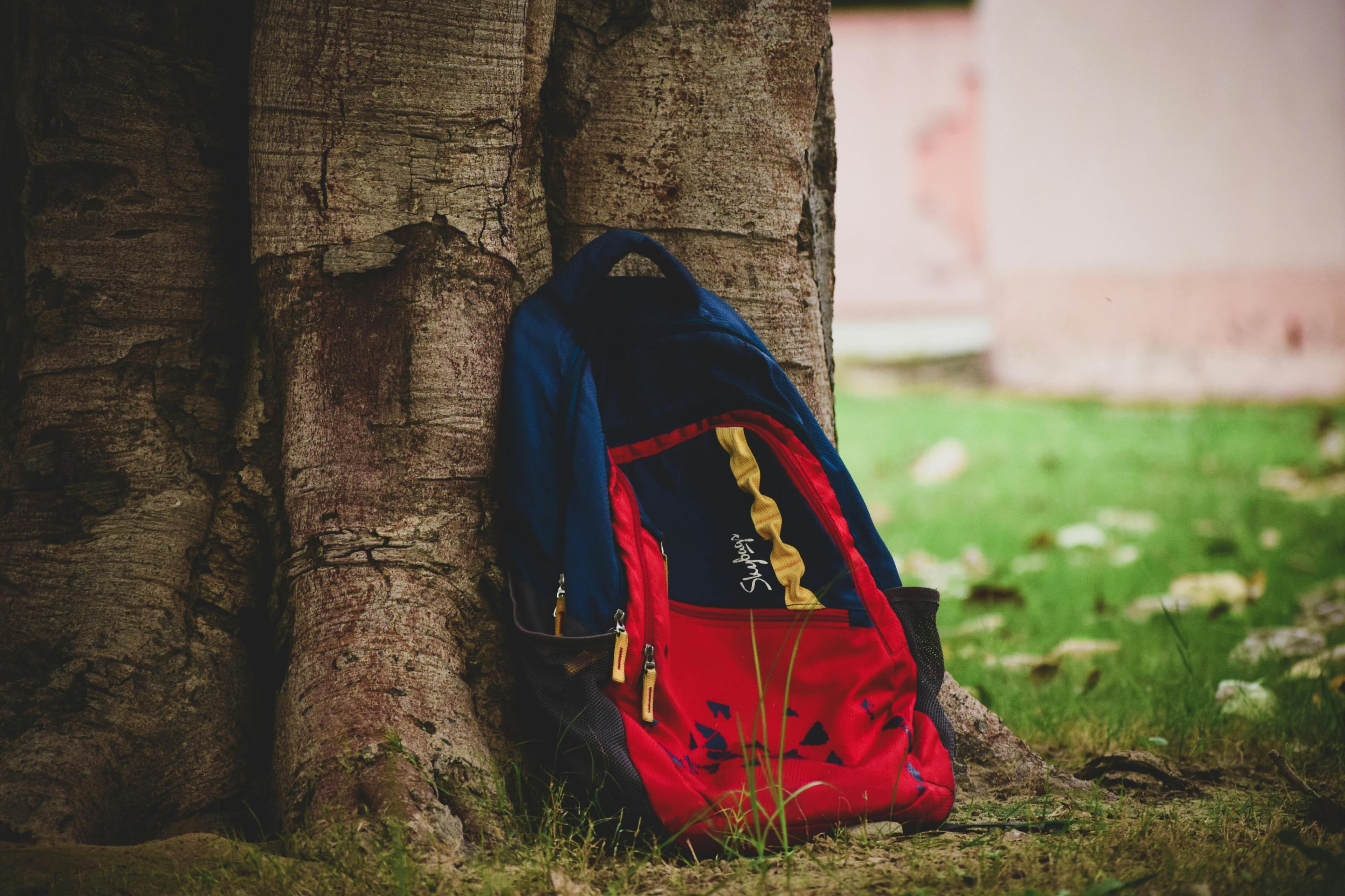 backpack next to the tree