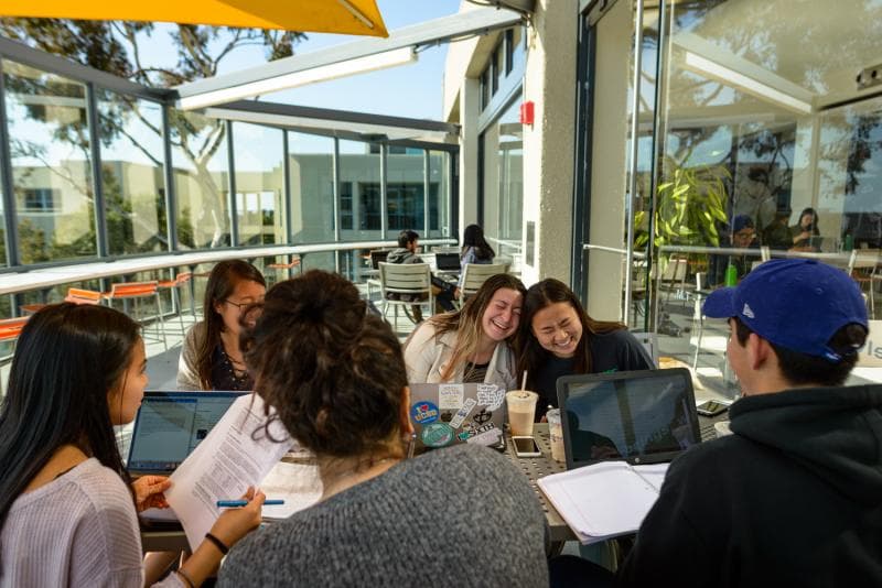 groupe of students have a lunch