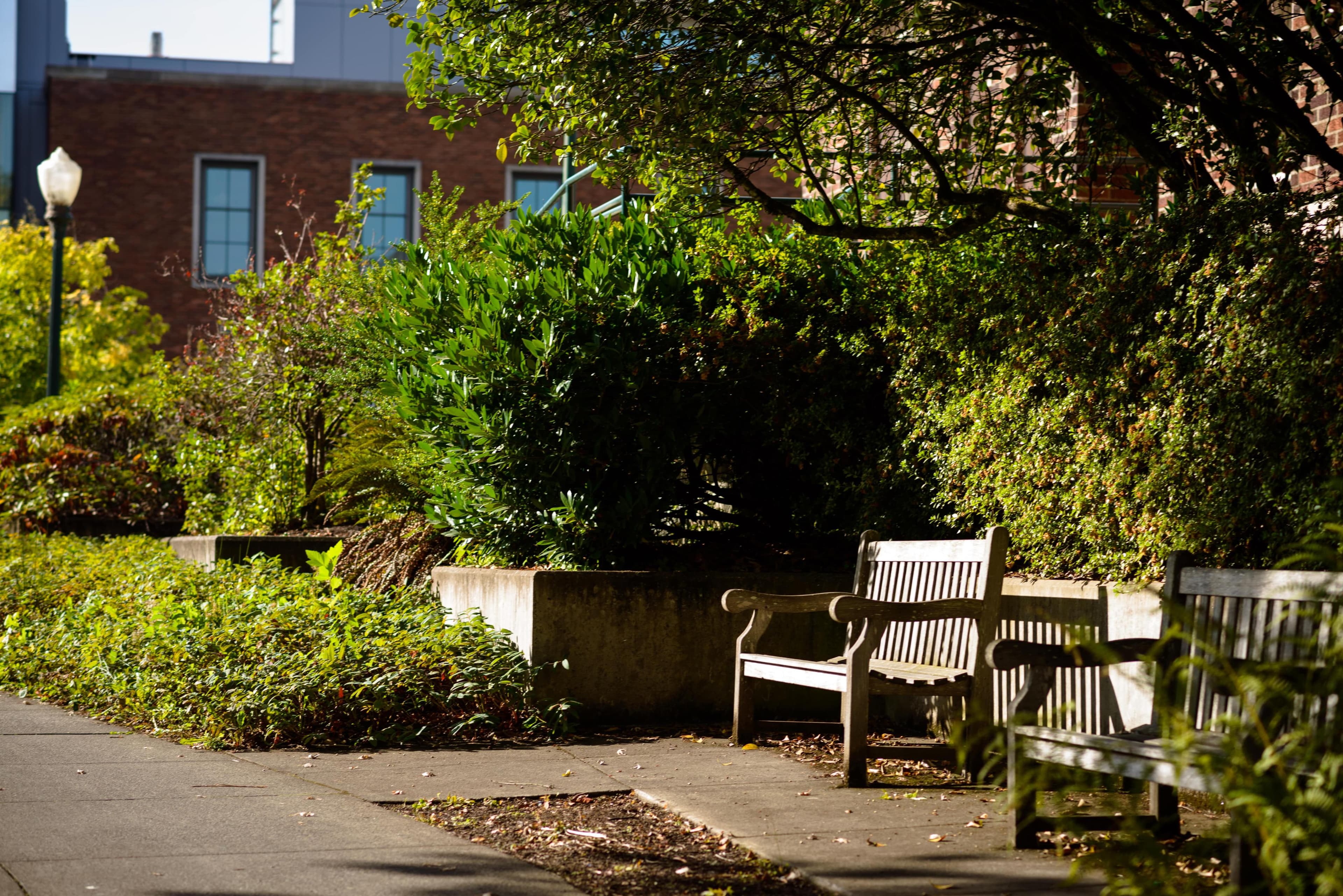 university' park